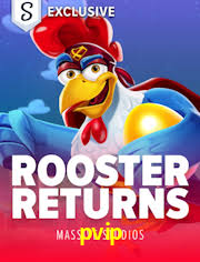 Premium Interface pvip